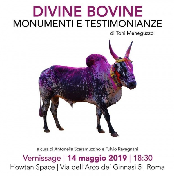 Toni Meneguzzo. Divine Bovine
