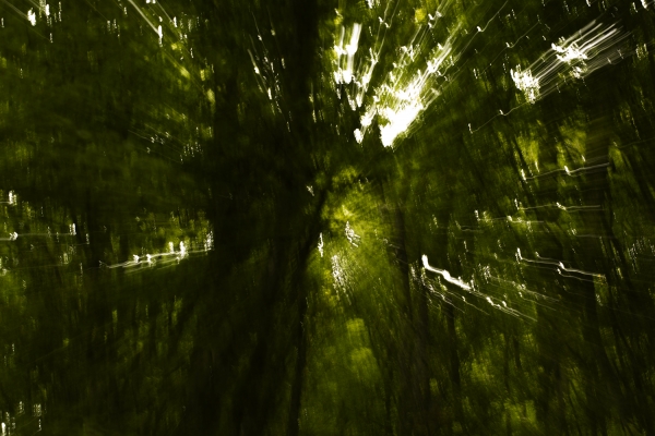 Budapest calling #19 MOTION. Una call for entry del CsfAdams per una mostra collettiva che si svolgerà alla PH21 Gallery di Budapest dal 10 al 20 dicembre. Ultima mostra prima del trasferimento di sede a Barcellona. Scadenza 30 novembre