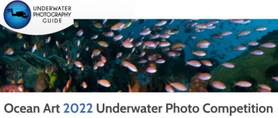 Ocean Art Underwater Photo Competition. Concorso di fotografia subacquea. Scadenza 30 settembre