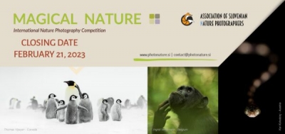 Nature Photography of the Year - Magical Nature. Scade il 21 febbraio il concorso di fotografia naturalistica dell&#039;Associazione dei fotografi naturalisti sloveni (ZNFS)